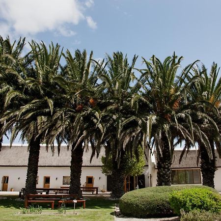 מלון סטנפורד Springfontein Wine Estate מראה חיצוני תמונה