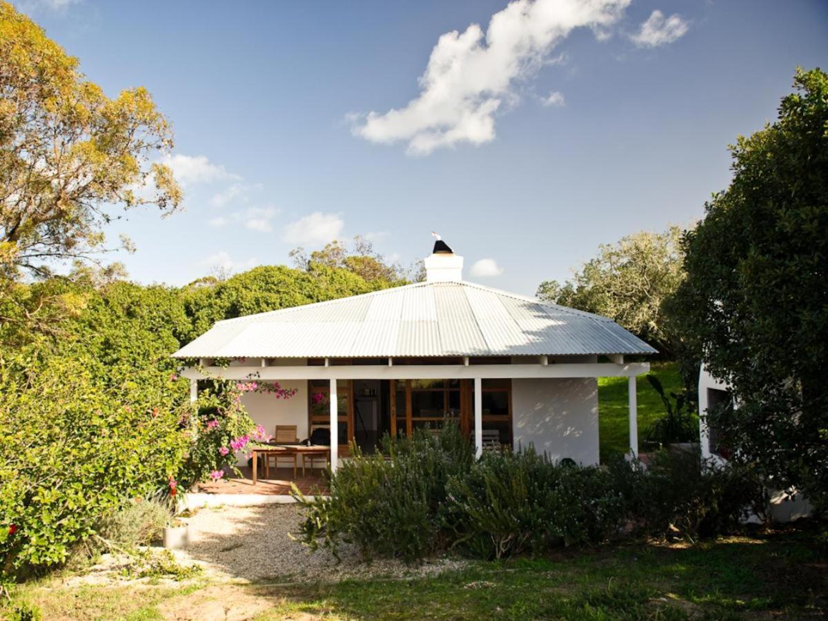 מלון סטנפורד Springfontein Wine Estate חדר תמונה