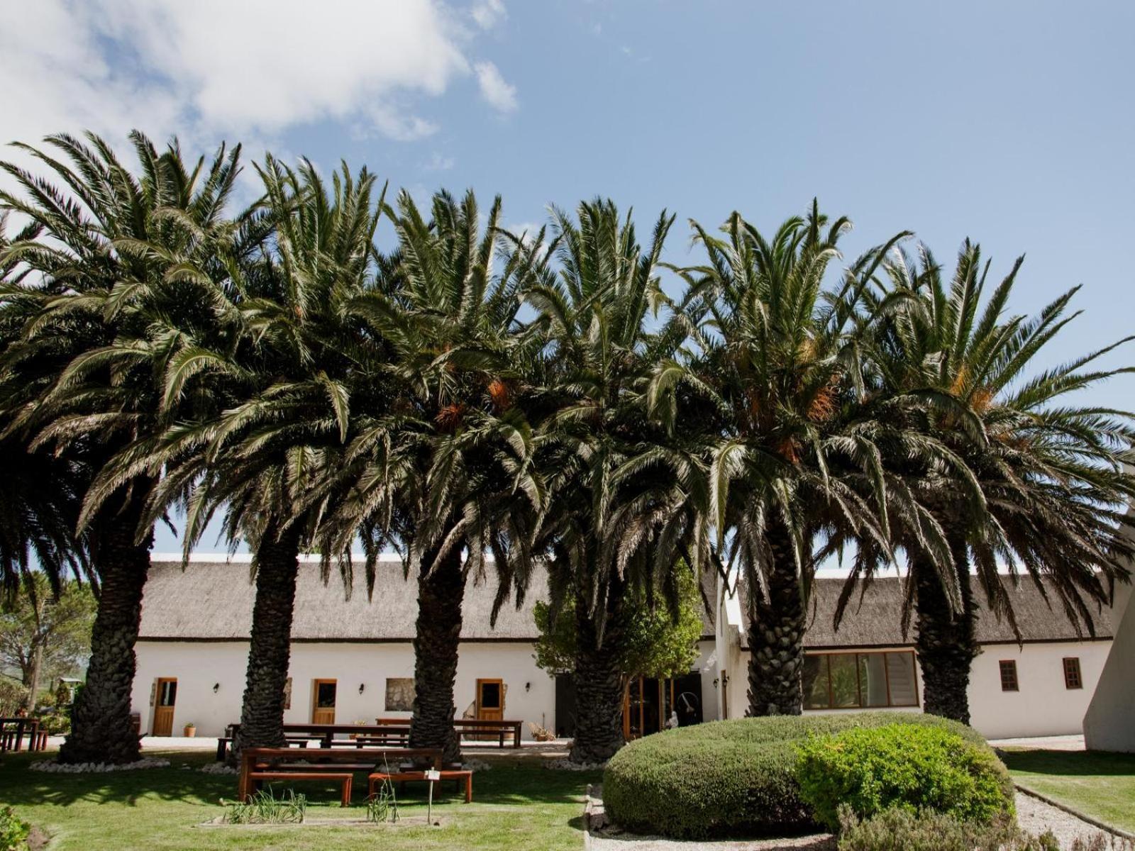 מלון סטנפורד Springfontein Wine Estate מראה חיצוני תמונה