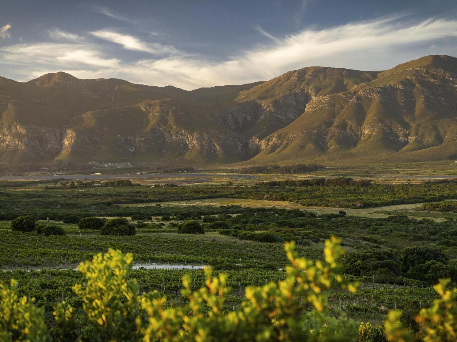 מלון סטנפורד Springfontein Wine Estate מראה חיצוני תמונה