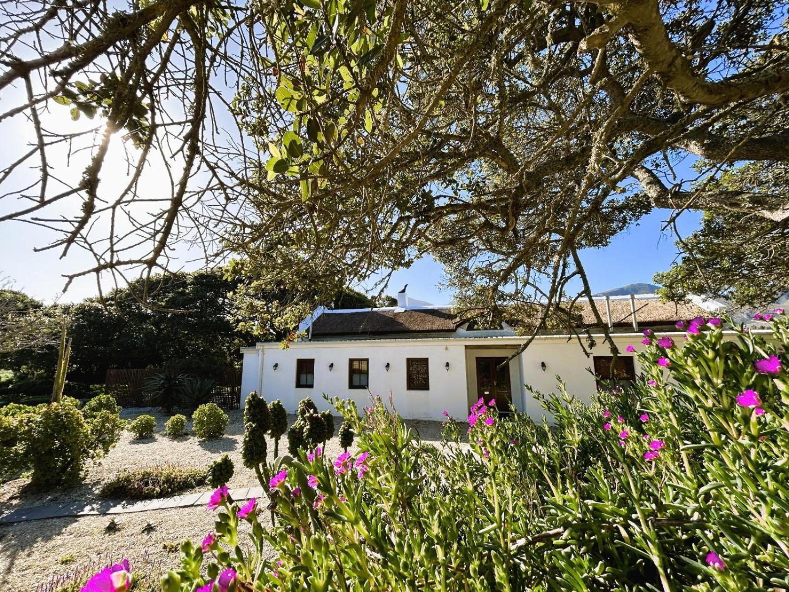 מלון סטנפורד Springfontein Wine Estate מראה חיצוני תמונה